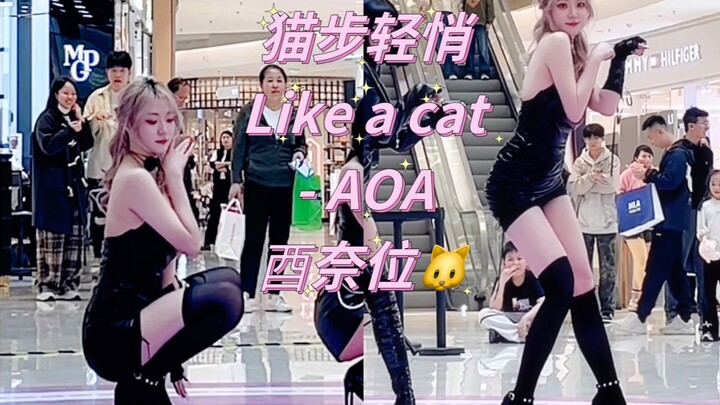 喵～一键变身皮衣小猫？！【猫步轻悄Like a cat- AOA】路演翻跳直拍酉奈位
