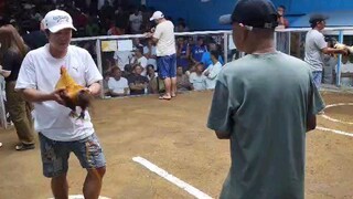 MB vs Coleseo de manila 4stag sa old marilao W L W D