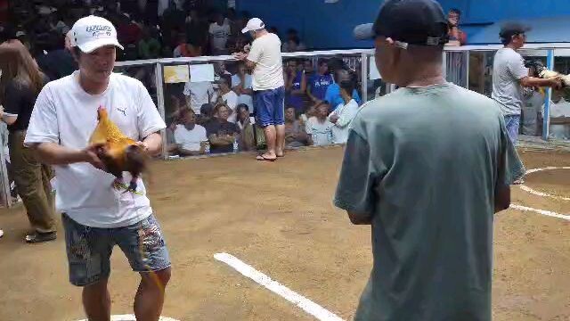 MB vs Coleseo de manila 4stag sa old marilao W L W D