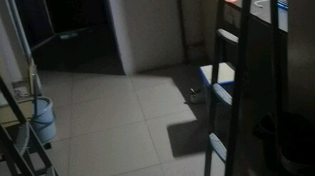 新生和大三舍友住真的会疯