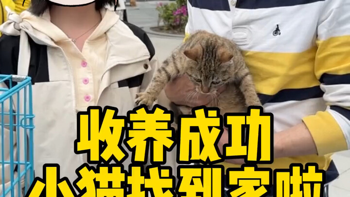 นี่แหละคือความหมายของการช่วยเหลือ 从ชีวิตที่เคยทรุดโทรมไร้ที่พึ่ง สู่การหาบ้านอันอบอุ่นให้พวกมัน หลาย