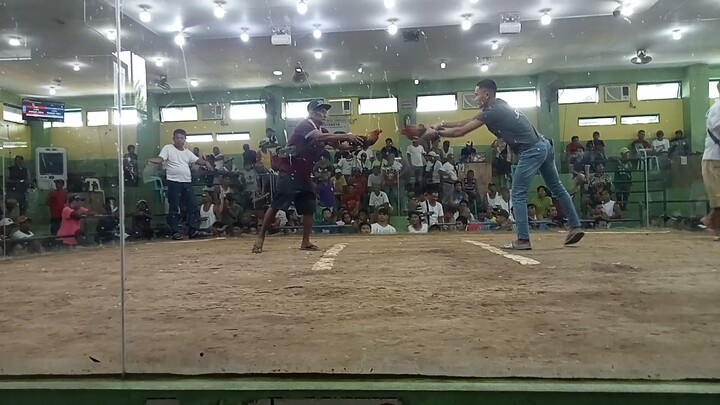 si 250 panglawang laban tinola lines