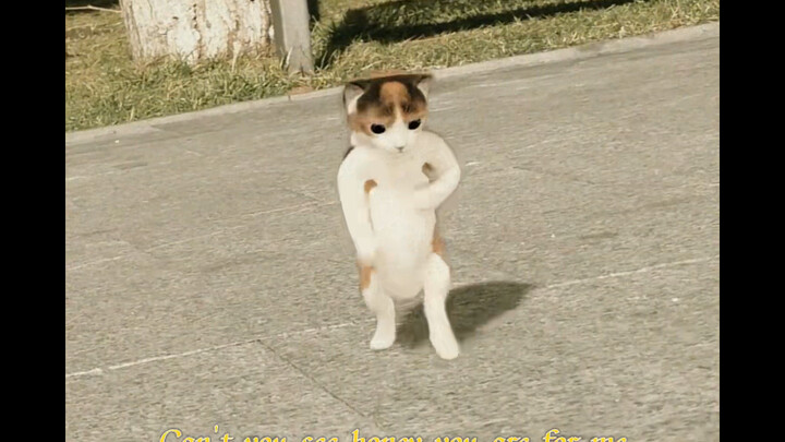 Friday vibes, basically.