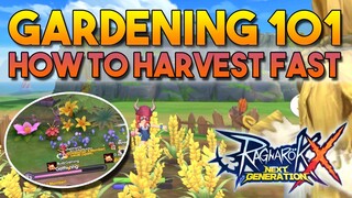 HOW TO HARVEST FAST, GARDENING TIPS 101 - RAGNAROK X: NEXT GENERATION