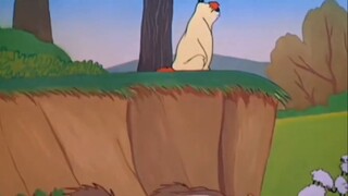 Hoạt động gợi cảm của Fox