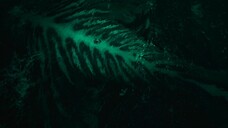 The Sea Beast 2022