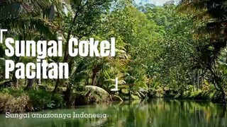 Sungai Terbaik Di Indonesia
