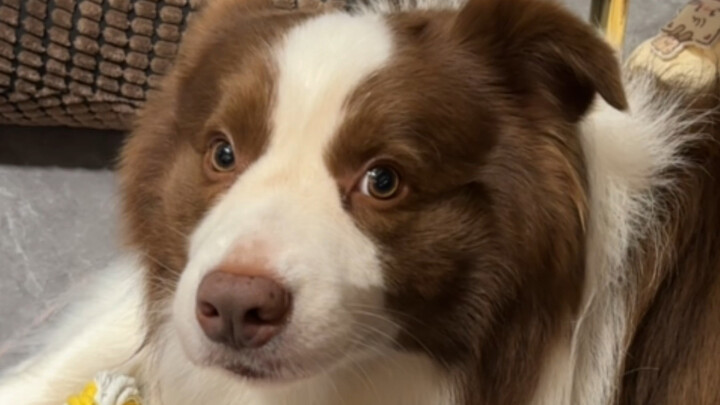 Fishy: I’m putting it all away, okay? Can’t I just put it away already!