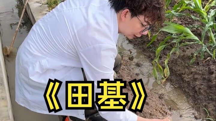 原来田基是这样用的