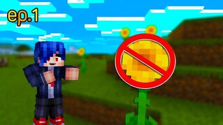 เอาชีวิตรอด 1 วัน ห้ามเจอ Sunflower.. เจอคือจบคลิป  ( Minecraft Challenge )