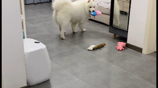 小羊：我玩儿你个玩具怎么啦，怎么啦！