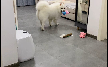 小羊：我玩儿你个玩具怎么啦，怎么啦！