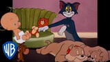 Tom und Jerry auf Deutsch 🇩🇪 | Die Top 10 der süßesten Momente | @WBKidsDeutschland