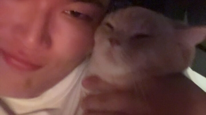 هيهيهي~ يا قطّة صغيرة!