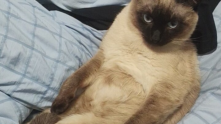 I’m really sorry for letting you see this chubby guy!