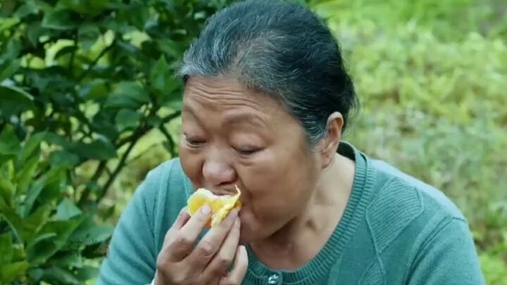 ชาวบ้านเสียดายผลส้มเลือดที่ยังไม่สุก จึงกินหมดจนเกือบเอาชีวิตไม่รอด!