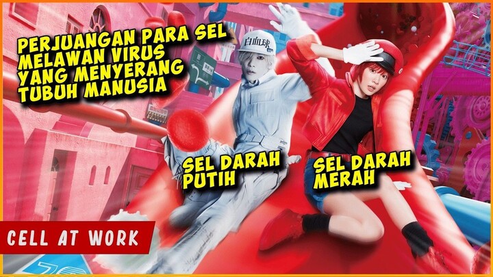 Perjuangan SEL Tubuh MANUSIA Melawan VIRUS BAKTERI