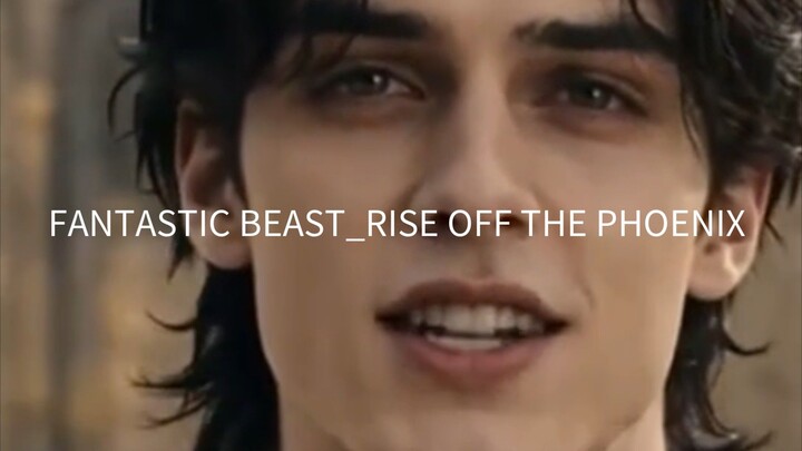 FANTASTIC BEAST_RISE OFF THE PHOENIX 🥰😍