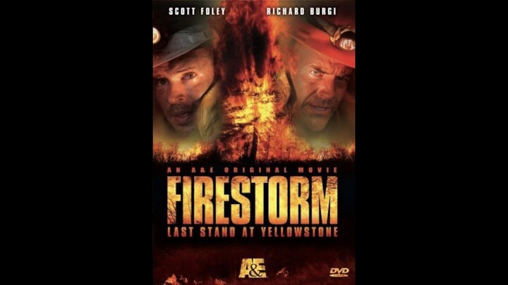 มหันตภัยไฟป่าล้างธรณี (เสียงไทยรวมเพื่อน)