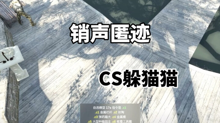 CS2 ซ่อนหา: ถูกเมินไปเลย!