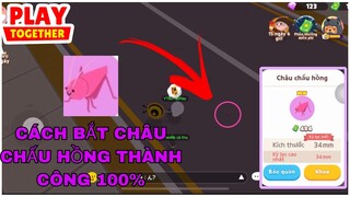 CÁCH BẮT CHÂU CHẤU HỒNG THÀNH CÔNG 100% | PLAY TOGETHER