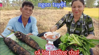 Cá lóc nướng chui cuốn bánh tráng ăn ngoài đồng quá ngon