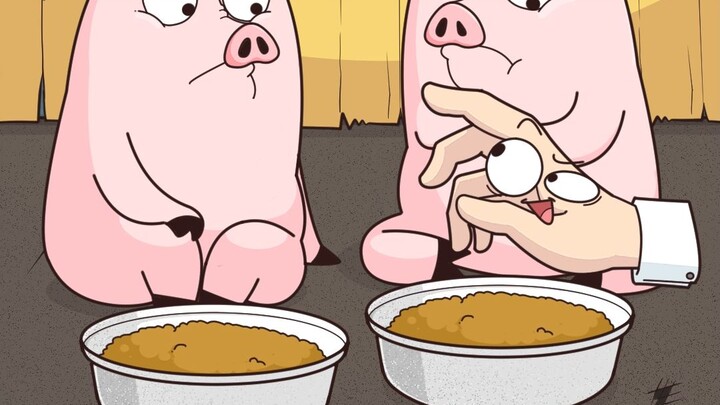 Wild boars just can’t handle “fine bran”!