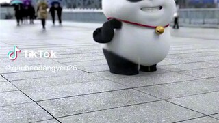 bé gấu nhảy giữa đường thật đáng yêu