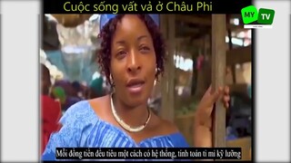 Cuộc sống mưu sinh vất vả ở Châu Phi_phần 9