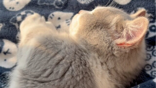 From last year to this year, the happiest thing has been raising you!