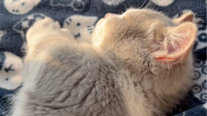 From last year to this year, the happiest thing has been raising you!