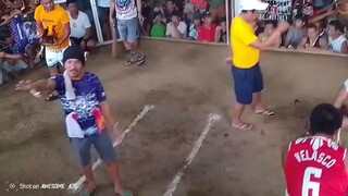 Dehado pa bulik namin