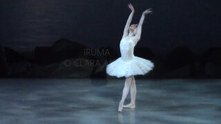 【芭蕾】Olesya Novikova《天鹅湖》白天鹅变奏
