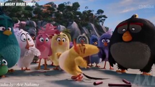 ANGRY bird recap