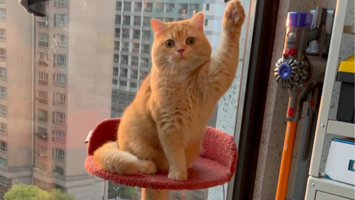 《ช่วยฉันที》