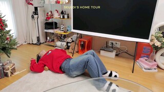 🚨First Reveal🚨Seulgi's Hometour🏠Interior, Best Items For Living Alone...