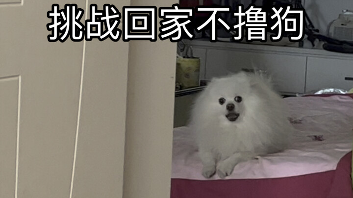 Tôi biết bạn đang sốt ruột, nhưng đừng vội.