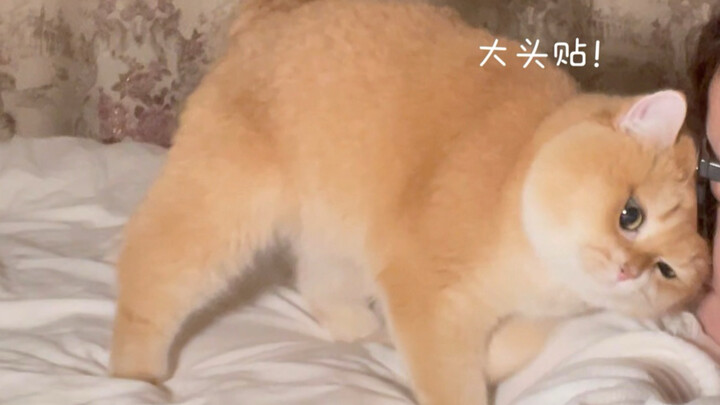 แบบนี้ใครจะไม่รักได้ลงคอ!!!