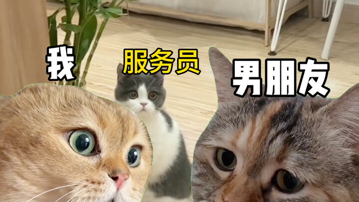 Boyfriend can't pick up the meatballs