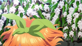 TVスペシャルアニメーション『五等分の花嫁∽』ノンクレジットOP