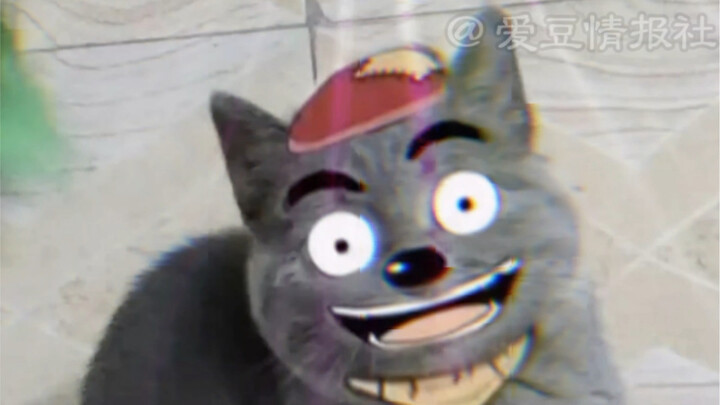 Come see the wild Grey Wolf!