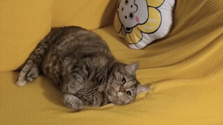 “Carry me to bed to sleep, please.”