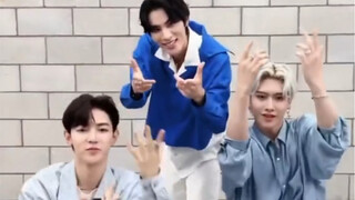 【230727】เสี่ยวจุน & จางห่าว & ริกกี้#In Bloom_Dance Challenge