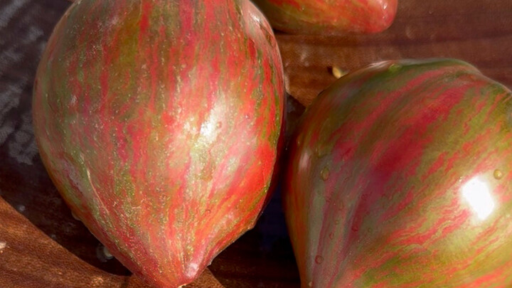 This tomato’s name is totally outlandish, but it really is a genuine variety.