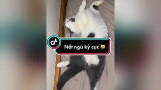 Nết ngủ gì mà kỳ cục 😺 foryou fyp catsoftiktok cutecat cat catlover munchkincat munchkin meocute xuhuong memesiungao