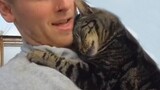 Having a cat in your life is truly a blessing- Cute ways cats show their love for owner