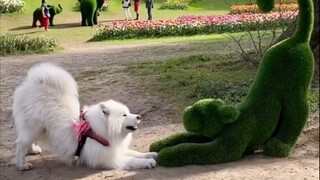 Cara anjing mengajak bermain sepertinya mirip dengan permintaan pemasangan Bluetooth!