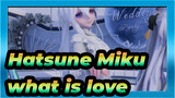 Hatsune Miku|【MMD】what is love