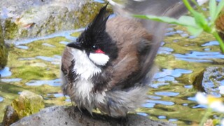 🥰 Baby, you're like a compressed towel—expand and round out when you meet water! 🥰😍🥰 Baby, you're li