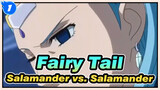 Fairy Tail - Salamander vs. Salamander_1